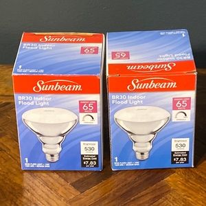 (2) Sunbeam Flood Lights